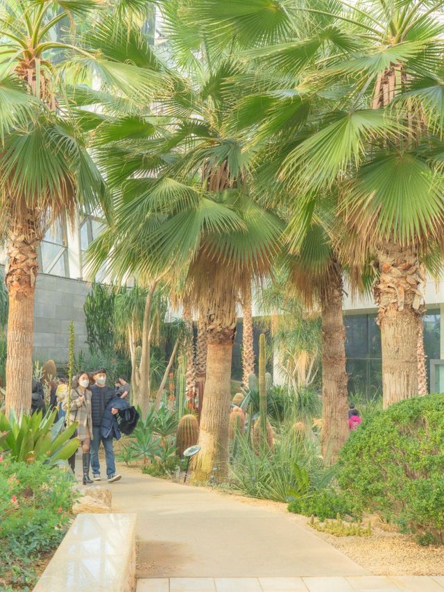 비 오는 날 즐기기 좋은 실내데이트, 서울식물원🌿