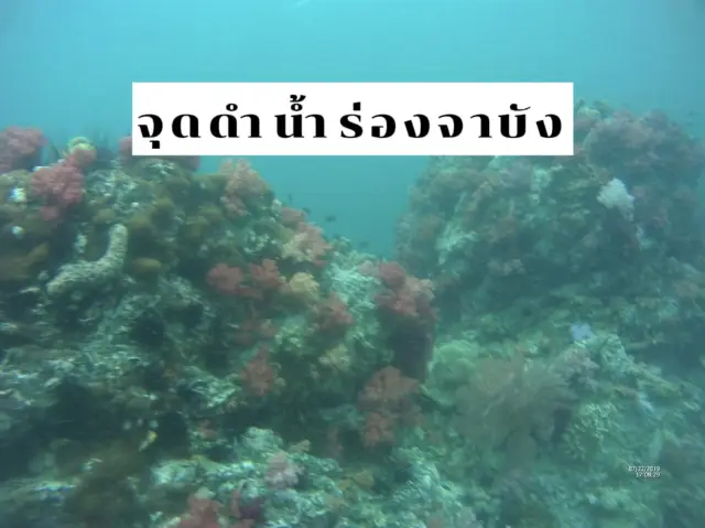 The most beautiful diving spot on Koh Lipe