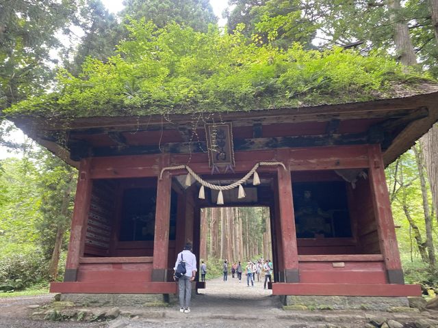 【長野のパワースポット】戸隠神社