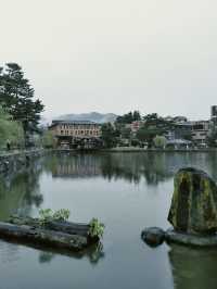 Japan Trip