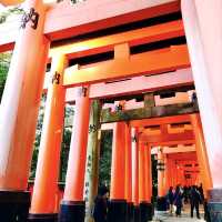 ［日本京都］伏見稻荷大社~漫步於鳥居神社之中