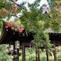 【京都】京都三名水を味わえ四季の花が楽しめる