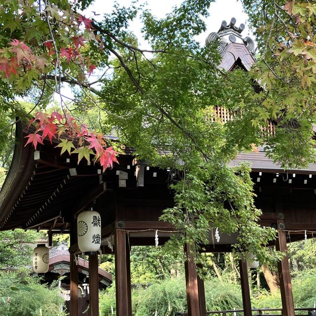【京都】京都三名水を味わえ四季の花が楽しめる