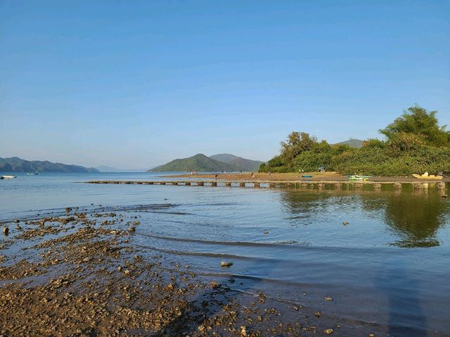 【CP值最高的紅樹林~泥涌🌴】