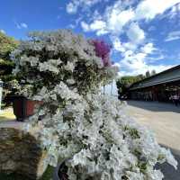 彰化御花園-萬景藝苑