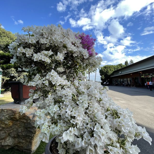 彰化御花園-萬景藝苑