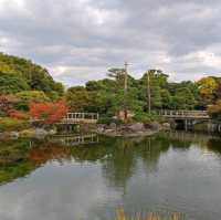 Nagoya's Hidden gem, a garden! 