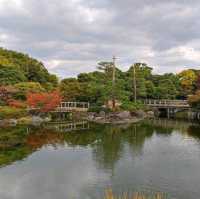 Nagoya's Hidden gem, a garden!