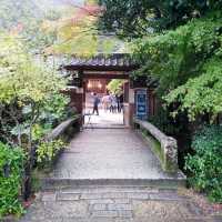 日本最古の神社　世界遺産　宇治上神社