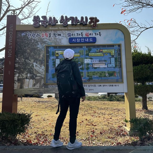Gyeongju , is a must place to enjoy autumn 🍂