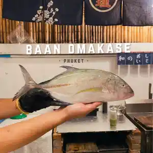 ร้านปลาโอมากาเสะไทย วนภูเก็ต