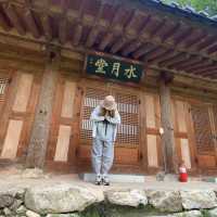 속세에서 벗어나고 싶을 땐, 용문사 템플스테이🪷