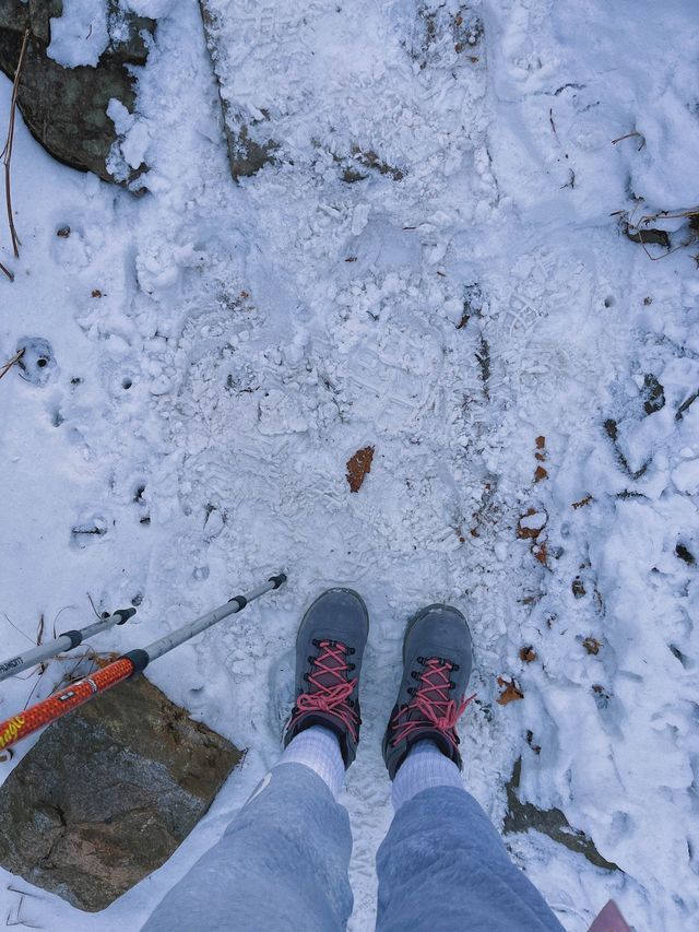 설산 등산 ❄️ 태백산 다녀왔어요