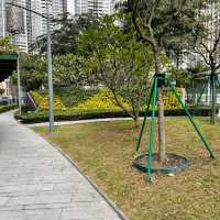 PAROUE CENTRAL DA TAIPA