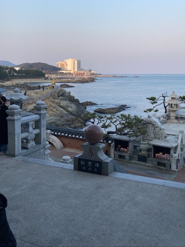 BUSAN✨