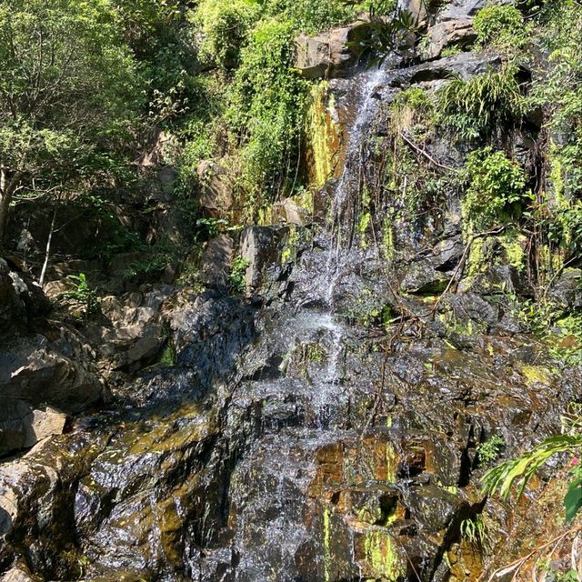 香港，太平山頂，山頂步行徑！暖冬必遊！