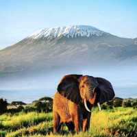 Mount Kilimanjaro, Tanzania