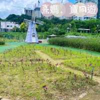 熹媽熹寶推介❤️ 打卡打到手軟-位於大埔ge 蝶豆花園有機農莊🤩