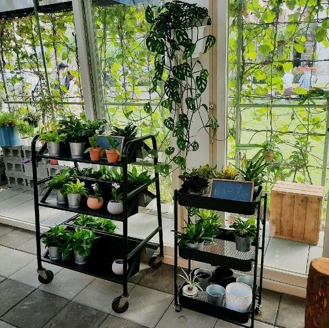 【桃園】田園咖啡廳|下午茶約會|朝顏屋3.2K