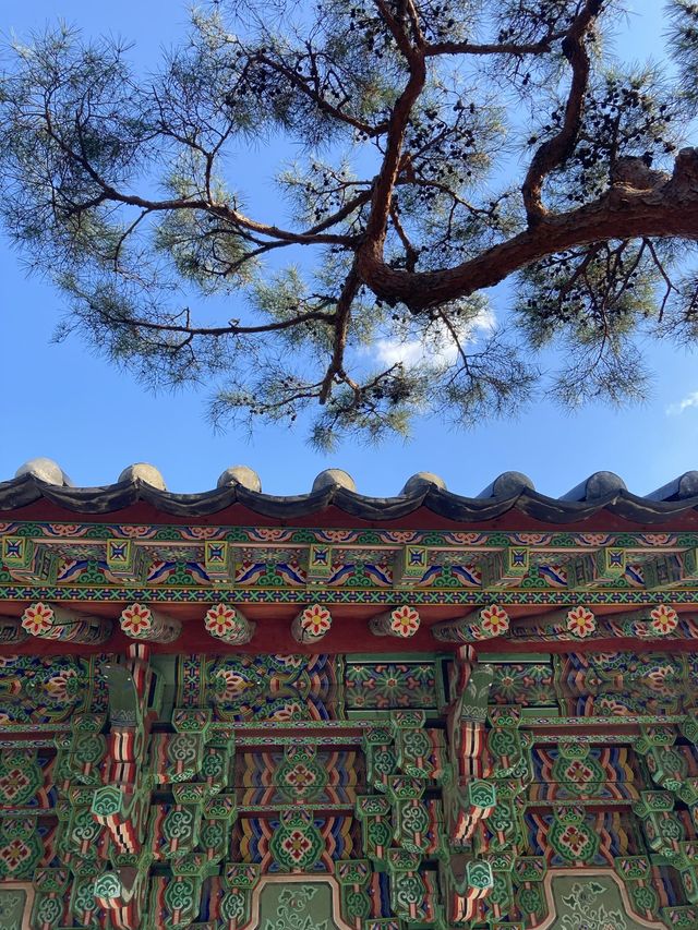 겨울에도 멋진 절