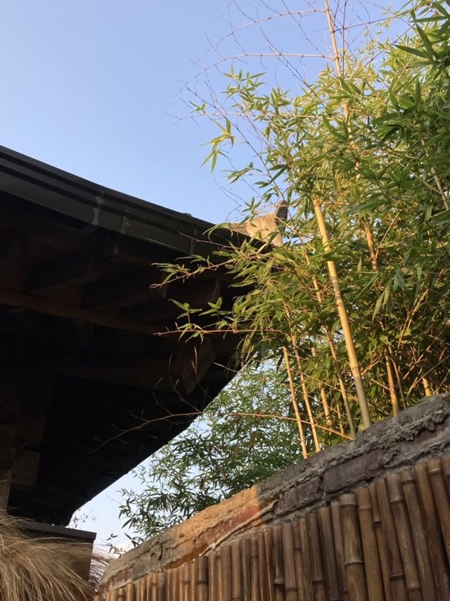 고즈넉한 한옥마을 카페 추천 🤍