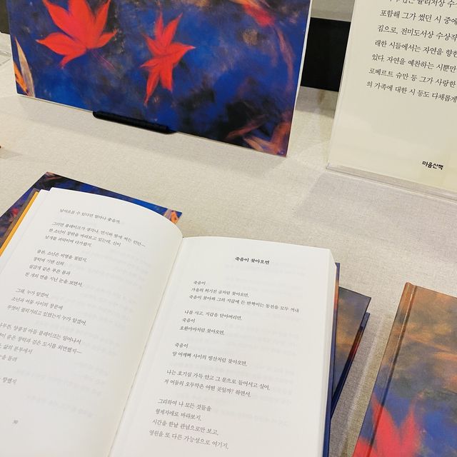 속초에가면 편지를 써주세요💌📮