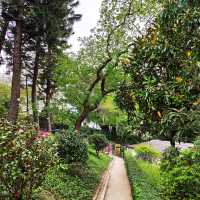 ✨訊號山花園✨｜尖沙咀清幽秘境+特色打卡紅磚訊號塔+涼亭賞花睇180度維港海景