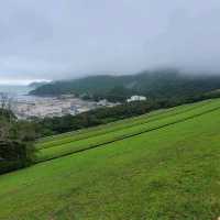 遠離鬧市，郊遊新體驗