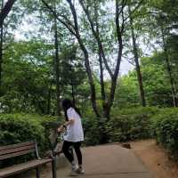 지속가능한 여행에 동참하는 강남 신사 신상호텔 보코서울강남