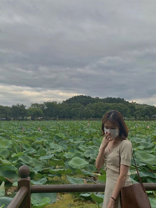 경남 진주 최고의 연못공원💚 강주연못 💚