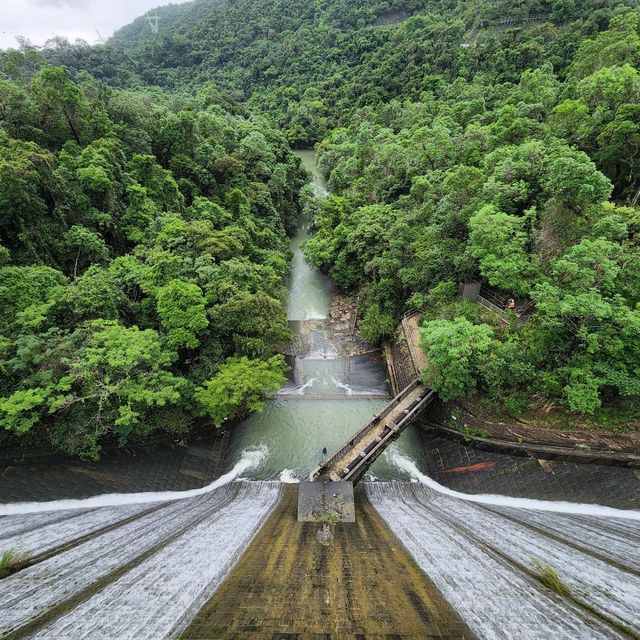 香港仔水塘綠色郊遊 
