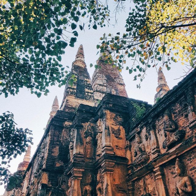 ไหว้พระวัดเจ็ดยอด@เชียงใหม่