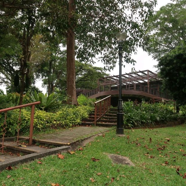 MacRitchie Nature Park