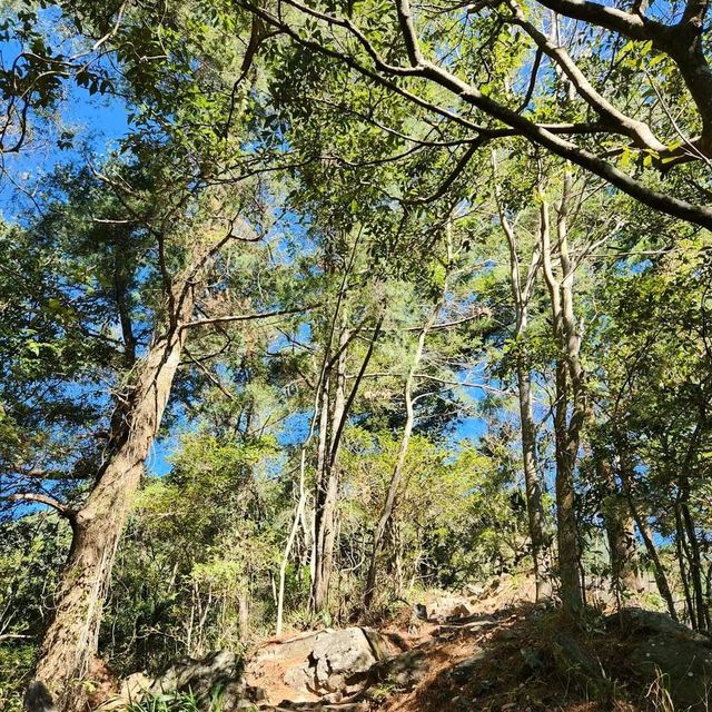 The BoJinJiaShan Hiking Trial