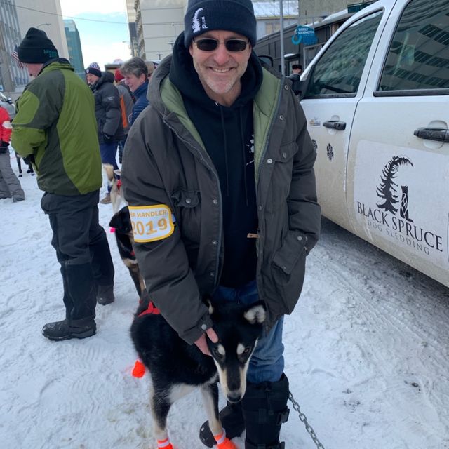 Witness the Iditarod dog sled race in Nome