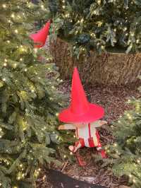 부산 대형 트리존 구경하러 고고🎄