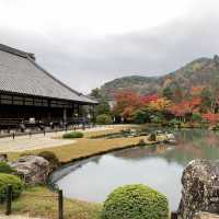 京都紅葉2022 天龍寺の紅葉