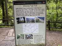 Hike to Chimney Top - Great Smokies 