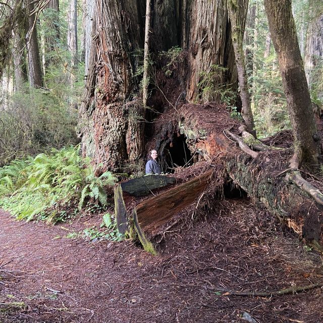 hiking at its finest