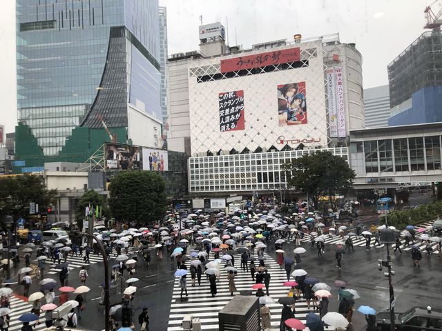 Shibuya Crossing - Busiest Street of World  