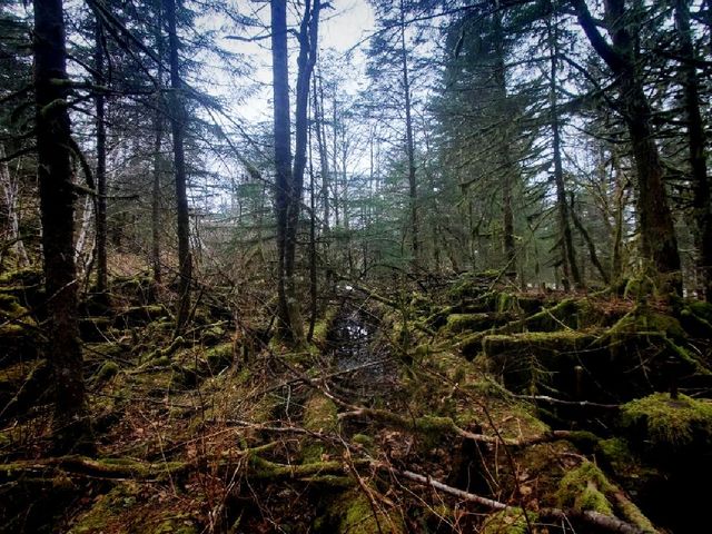 Juneau Alaska