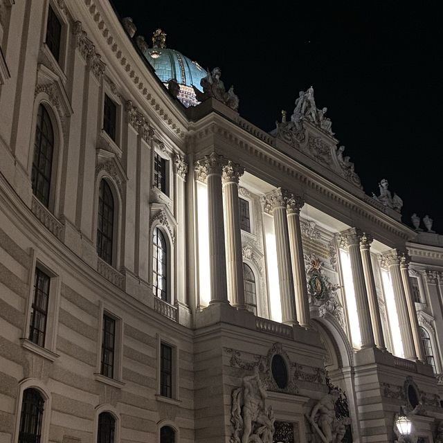 Vienna Night view 🌃