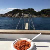 blue sardinia