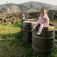 THIS IS THE CITY OF WINE 