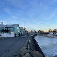 🇮🇸冰島遊記 Harbor in Reykjavik 超美的夢幻小屋