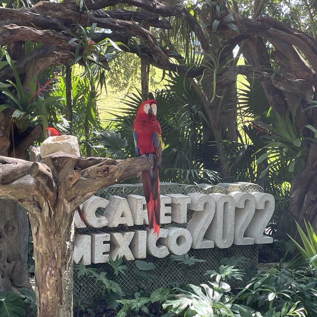 Xcaret Mexico