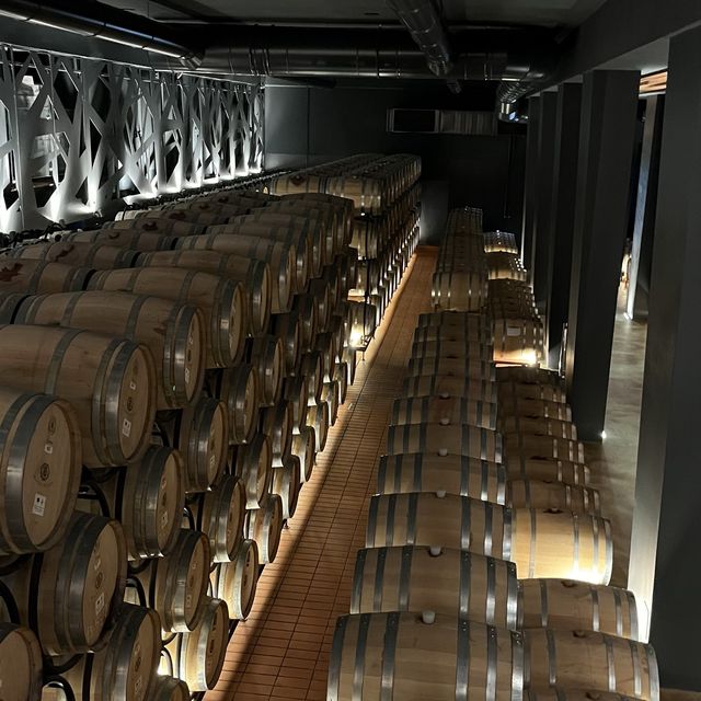 The Marramiero Winery in Abruzzo Italy 🇮🇹 