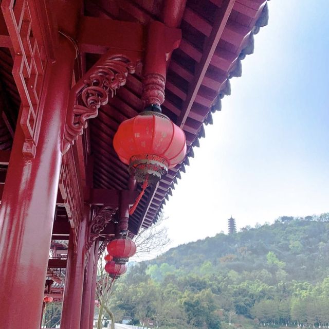 A Botanical Oasis in the Center of Chongqing