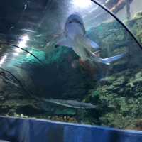 Nanchang ocean park 