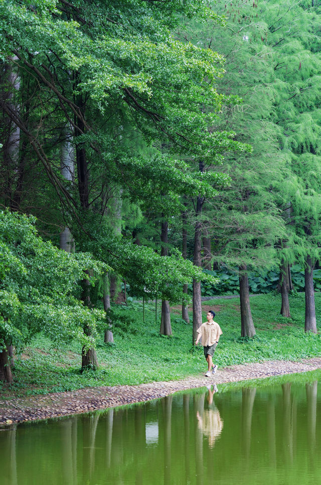 Found the real-life version of "The Wizard of Oz" in Guangzhou, breathtakingly beautiful ❗️